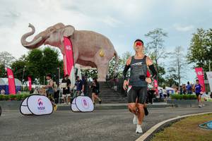 BIB: 
                            <button type="button" onclick="openModal(26528990)" class="btn btn-primary btn-sm float-right btn-popup" data-toggle="modal" data-target=".modal-high-quality">
                        <i class="fas fa-shopping-cart"></i> Add to Cart
                    </button>
                                            <button type="button" onclick="isThisMe(26528990, true)" class="btn btn-success btn-sm float-right btn-popup btn-isme hidden" data-toggle="tooltip" data-placement="bottom" title="นี่คือรูปของคุณใช่ไหม คลิกที่นี่เพื่อเอาเข้าอัลบั้ม">
                        <i class="fas fa-plus"></i> Add to album
                    </button>
                    <button type="button" onclick="isThisMe(26528990, false)" class="btn btn-warning btn-sm float-right btn-popup btn-isnotme hidden">
                        <i class="fas fa-ban"></i> Remove from album
                    </button>